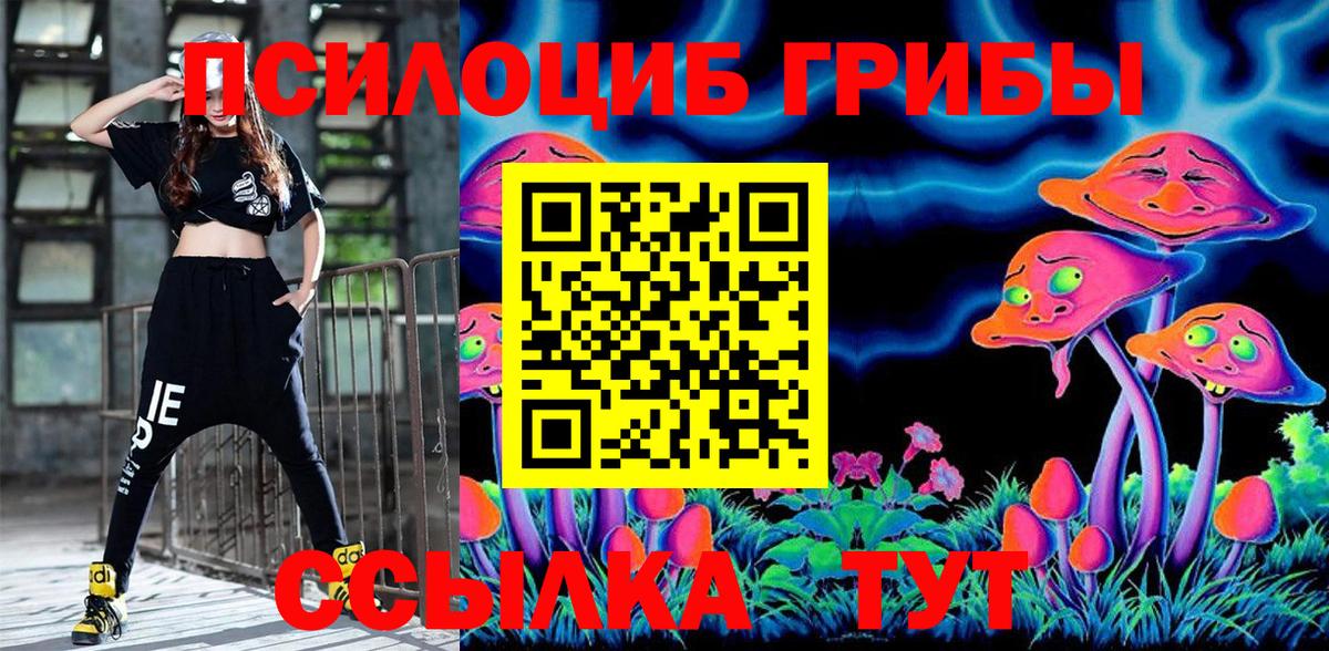 Псилоцибиновые грибы Psilocybine cubensis  Вход с VPN  Севастополь 