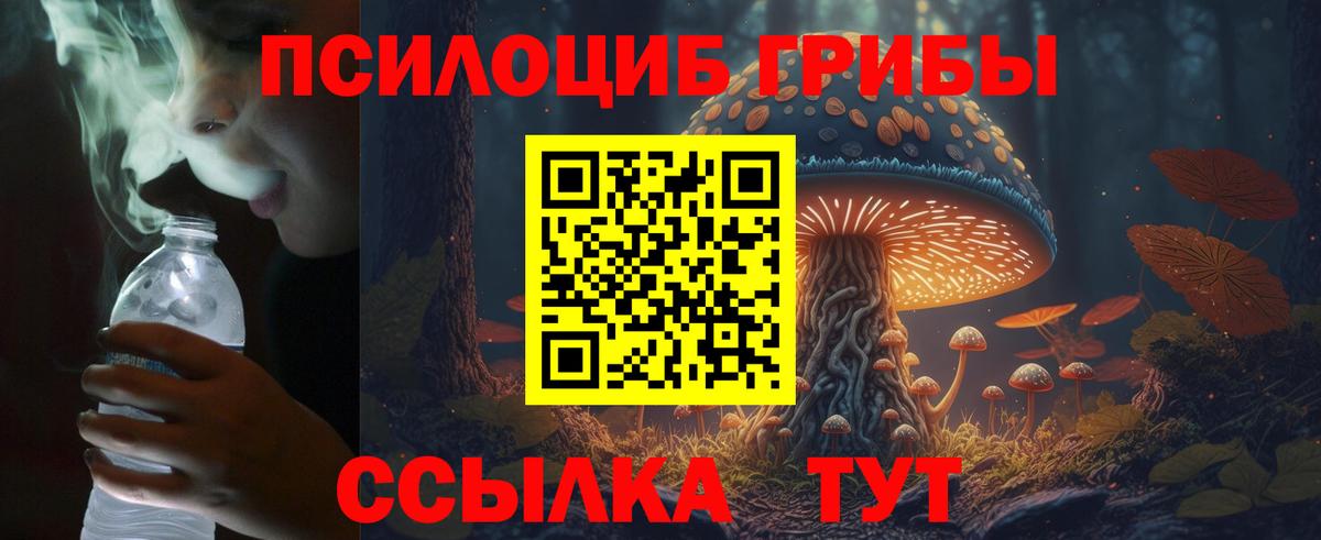 Псилоцибиновые грибы Cubensis Севастополь
